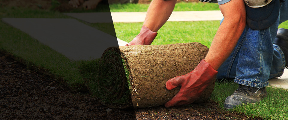 Eudora Landscapers